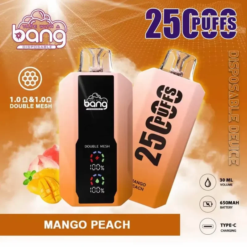 25000 Puffs Bang Disposbale Vape With Full Screen 1