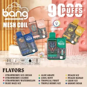 Original Factory Bulk Wholesale Bang 9000 Puffs 16ml Vape μιας χρήσης Διαθέσιμο