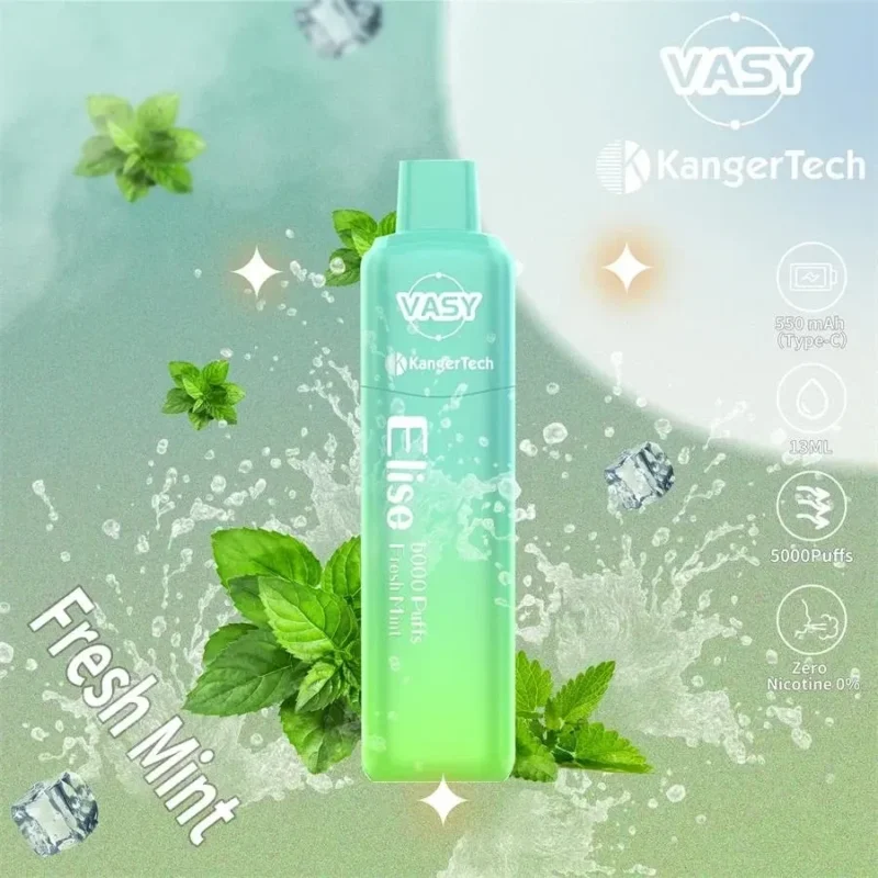 Vasy Elise 5000 Puffs Mesh Coil 0 2 5 Nicotină 550mAh Tip C Reîncărcabilă Ba 3