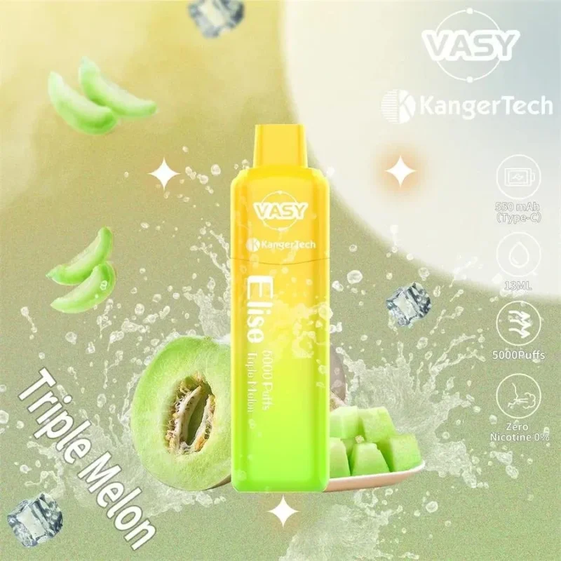 Vasy Elise 5000 Puffs Mesh Coil 0 2 5 Nicotină 550mAh Tip C Reîncărcabilă Ba 5