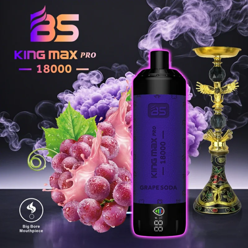 BREZE BS King Max Pro 18000 Puffs Mesh Coil 24ml 600mAh Type-C Batteria ricaricabile Penna Vape usa e getta all'ingrosso con display digitale a LED