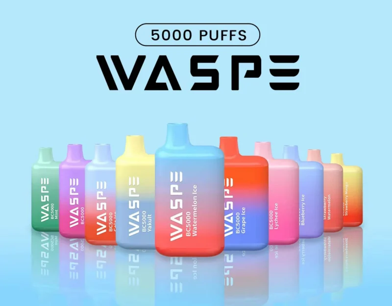 Livrare rapidă WASPE 5000 PUFFS 0% 2% 3% 5% Nicotină 13ml Tip-C 650mAh Baterie Mesh Coil Comerț cu ridicata Vape Pen de unică folosință În stoc