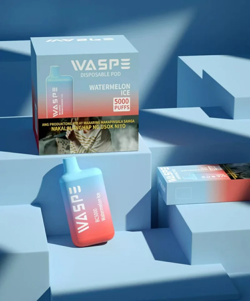 Livrare rapidă WASPE 5000 PUFFS 0 2 3 5 Nicotină 13ml Tip C 650mAh Baterie Mesh Coil Comerț cu ridicata Vape Pen de unică folosință În stoc 6